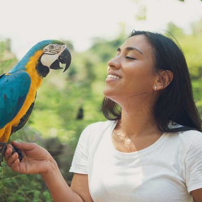 Eco Lifestyle And Wild Life